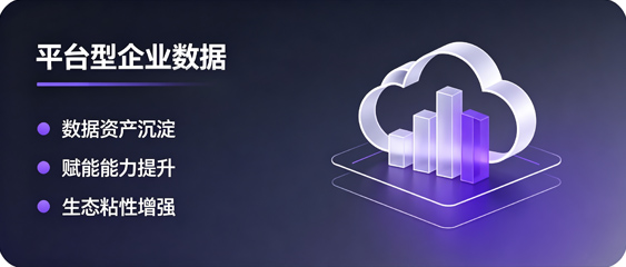 平台型企业数据解决方案